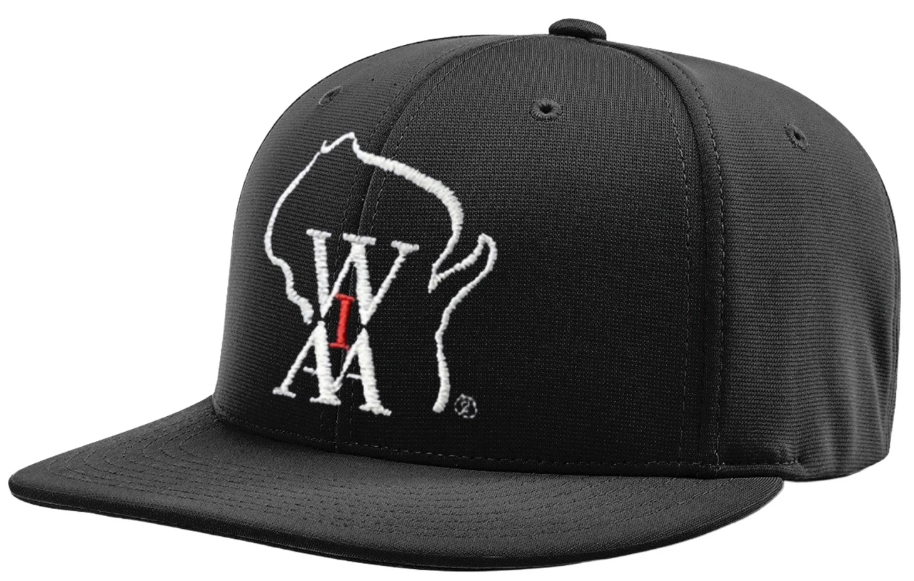 Wisconsin WIAA Black Pulse Performance 8-stitch Umpire Base Cap 1 Wisconsin WIAA Black Pulse Performance 8-stitch Umpire Base Cap