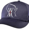 Wisconsin WIAA System5 Navy Promesh 4-stitch Umpire Plate Cap