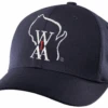Wisconsin WIAA Fitted Navy 8-stitch Umpire Base Cap