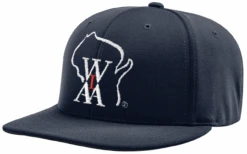 Wisconsin WIAA Navy Pulse Performance 4-stitch Umpire Base Cap