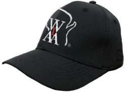 Wisconsin WIAA Smitty Black Mesh 8-stitch Umpire Base Cap
